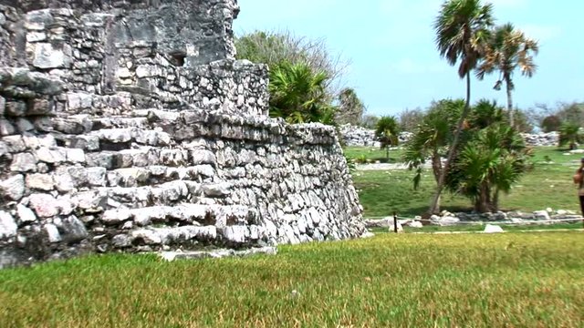 Iguana on Temple Wall-zoom