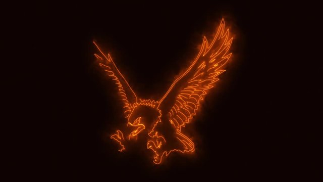 Orange Burning Eagle Animated Logo Element with Reveal Effect