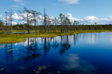 The blue Viru raba swamp lake, Lahemaa Nationa Park in Estonia.