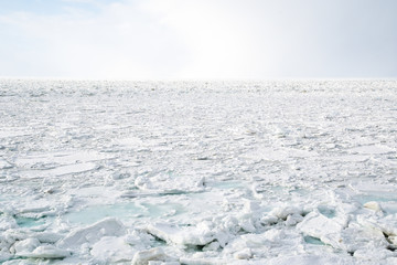 冬の知床　オホーツク海の流氷（木なし）　（北海道・斜里町・ウトロ）