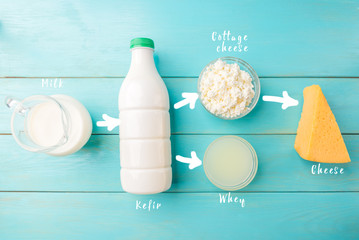 Dairy products. Milk, kefir, cottage cheese, cheese and whey on blue wooden background. Technology of making cheese from milk. - Powered by Adobe