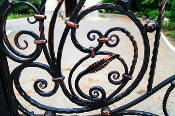 Decorative elements of wrought iron fencing in dark colors
