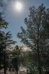 Baie des anges à Nice