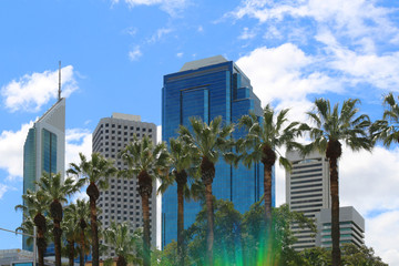 Fototapeta na wymiar Skyscrapers with palm trees in front in Perth city center, Australia