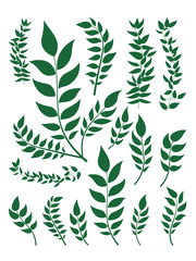Plant leaf set