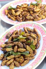 Fried silk worms delicious in street food