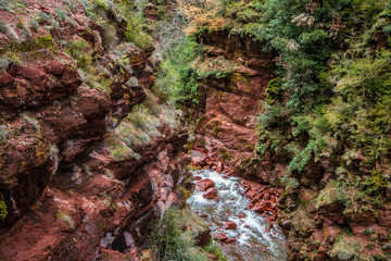 Gorges du Cians