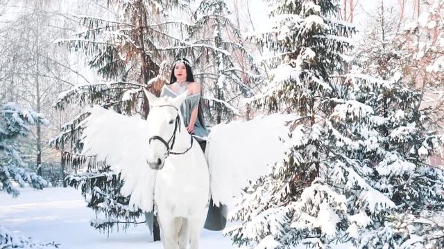 fabulous beginning of the story, the gorgeous dark-haired girl sits astride horse and turns back, holds her gray cape on her shoulder, charming lady lost in the winter forest and is looking for trace