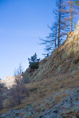 Paysage Alpin du Mercantour