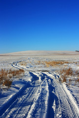 Fototapeta na wymiar Country dirt road in a snowy field