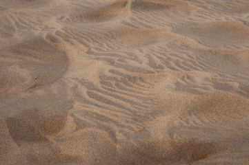 Ausschnitt vom trockenen Sand  mit Spuren des Windes