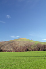 Obraz premium landscape with green field and blue sky,countryside,rural,cloud,view,panorama,horizon,agriculture,tree