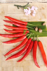 Red chili for cooking on wood background
