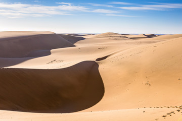 Fototapeta na wymiar Gran Canaria dunes - Maspalomas sand desert landscape. Spain