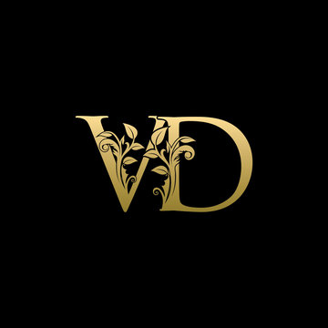 Golden Flower VD Letter Logo