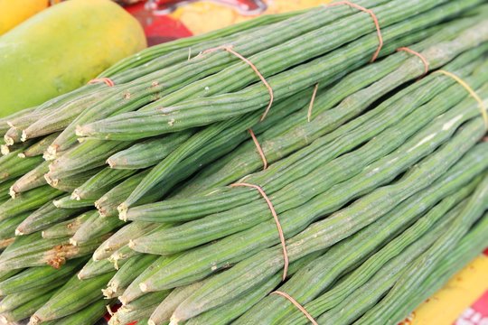 Moringa oleifera or drumstick vegetable
