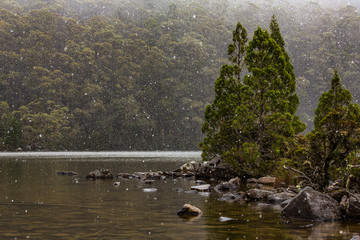 Lake Dobson, Mount Field National Park Tasmania