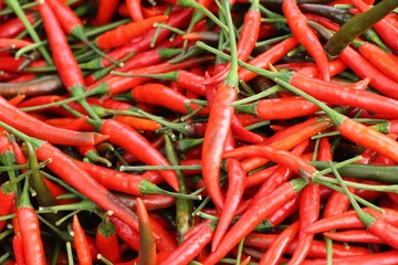 Fresh chilli for cooking at street food