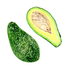 avocado isolated on white background. Whole fruits and slices