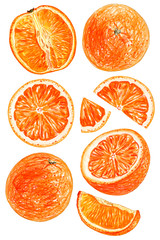 set of orange isolated on white background. Whole fruits and slices