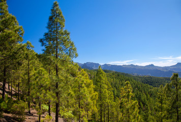 Gran Canaria, February