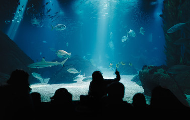 Fototapeta na wymiar Kids During Underwater Life Class in Oceanarium. Children Watching Fish. Teacher Showing Sharks, Rays, Sunfish, Mantas