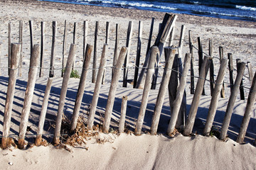 Beautiful seaside weathered wooden fences with sand dunes behind