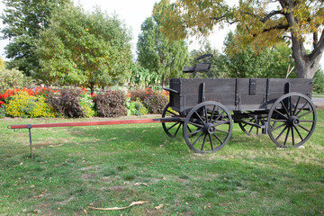 Old Wagon 