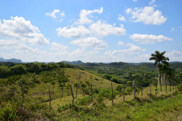 Landschaft im Nationalpark "La Güira" auf Kuba