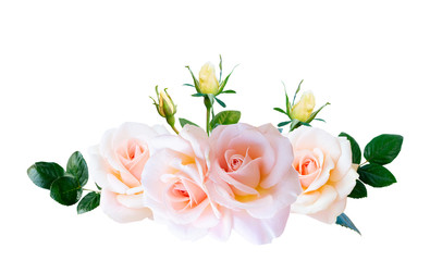 Obraz na płótnie Canvas Pink blooming roses