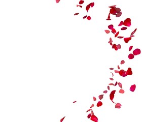 Red rose petals fly in a circle. The center free space for Your photos or text