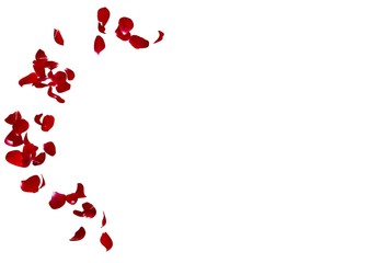Red rose petals fly in a circle. The center free space for Your photos or text