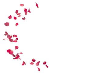 Red rose petals fly in a circle. The center free space for Your photos or text