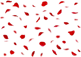 Fotobehang Valentijnsdag achtergrond of kaarten gemaakt van rozenblaadjes. Op de achtergrond zijn vage rozenblaadjes © injenerker