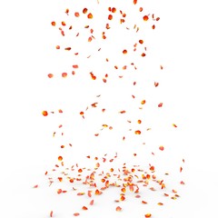 Small rose petals fly and fall to the floor