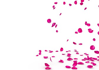 Purple rose petals fall beautifully on the floor