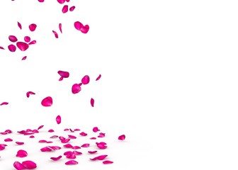 Purple rose petals fall beautifully on the floor