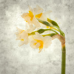  old paper background