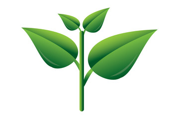 Leaves icon vector  isolated on white background