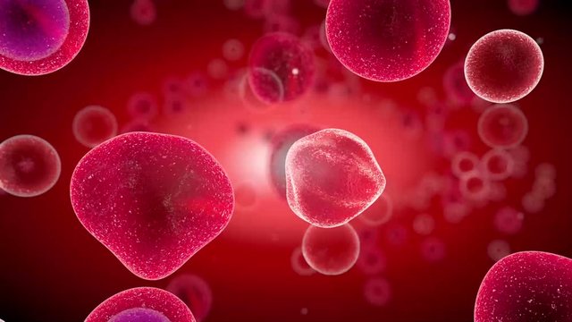 Embryonic stem cells , Cellular therapy , Regeneration 