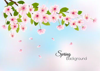 Nature spring background with pink blossom cherry. Vector.