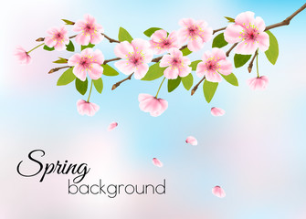 Nature spring background with pink blossom cherry. Vector.