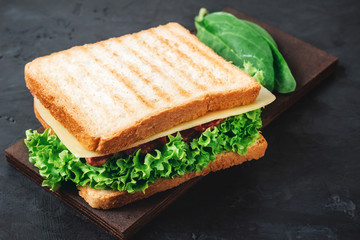 Sandwich with grilled toast, salami sausage, salad lettuce, spinach leaves and cheese on a dark background