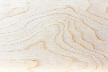 fresh saw cut wood texture