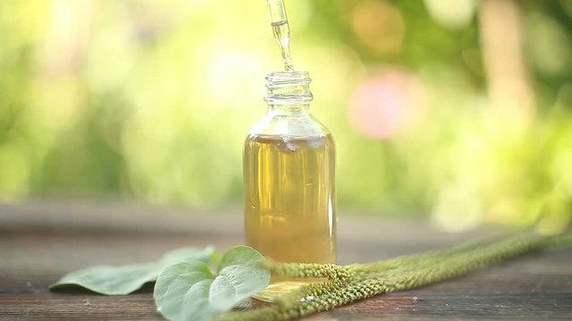 fleaworts essential oil in  beautiful bottle on table