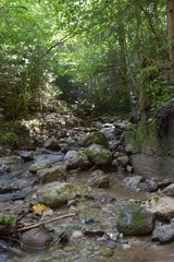 Alpine stream in the forest in Austria, near Admont