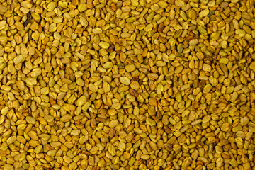 Background of the fenugreek seeds