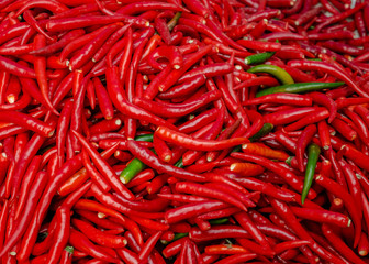 Many spicy hot red chili peppers for sale in the vegetble market
