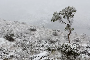 Papier Peint photo Mont Cradle Cradle Mountain in snow, Tasmania Australia