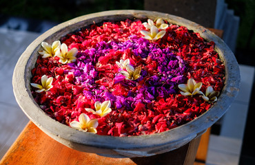 Flower petals in bowl, Bali